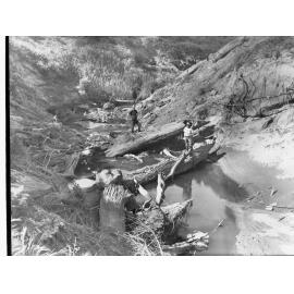 Torrens Floodwater Scheme