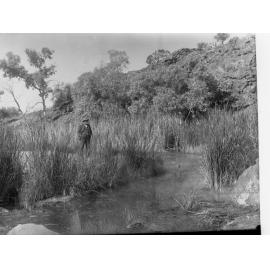 View of Flinders Ranges