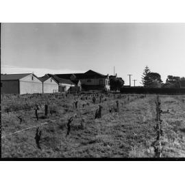 Winery at McLaren Vale