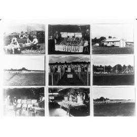 Scenes on a  Poultry Farm