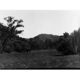 Rural view showing horse and cart with two men in it