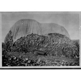 Wool Covered by Canvas