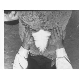 Agricultural Department Turretfield