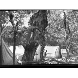 Boy Scout camp at Belair showing tents