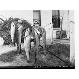 Fish Caught at Glenelg River