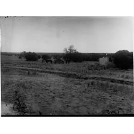 Cadell irrigation area near pumping station