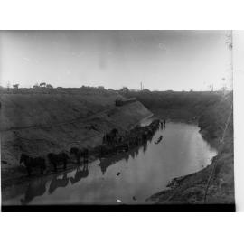 Torrens Flood Water Scheme, Work Horses in Foreground