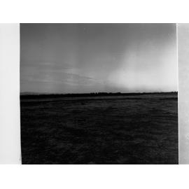 Stock Train at Dry Creek