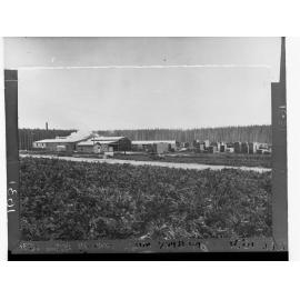 Mount Burr Mill Showing Pine Forest in the Background