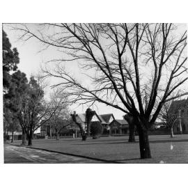 Brougham Place Gardens