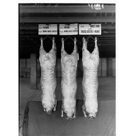 Carcasses hanging in a cool room - Agricultural Department