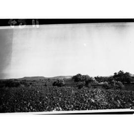 Rocky Mountain, Northern Territory