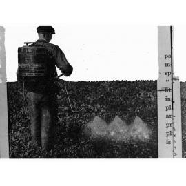 Man Dusting Crops with Chemicals