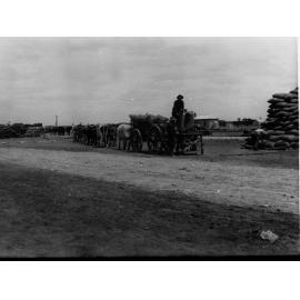 Carting wheat at Pinnaroo
