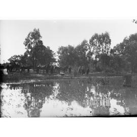 Horses and carts on bank of Lake Bonney  - Parliamentary Tour of River Murray