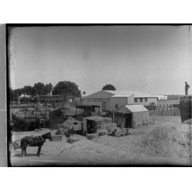 Baling hay at Roseworthy college