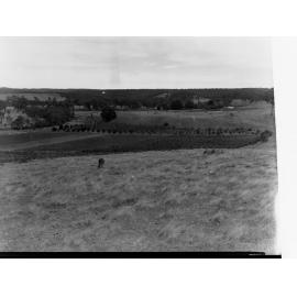 Engineering and Water Supply Farmlands at Williamstown