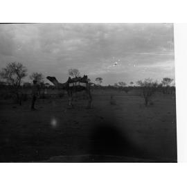 Man and a Camel Elder Scientific Expedition