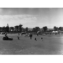 Glenelg Pageant  for showing old gum tree for centenary