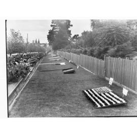 Flower Day flag exhibition, beside Government House