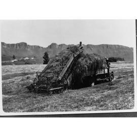 Cut Grass Being Loaded Onto Truck