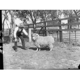 Man with a sheep taken at level crossing