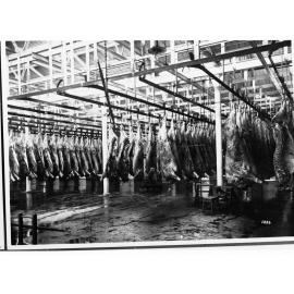 Slaughter House Showing Carcasses Hanging