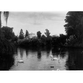 Lake Scene at Botanic Gardens Showing Conservatory