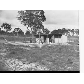 Oakbank Area School Teachers Feeding Chickens
