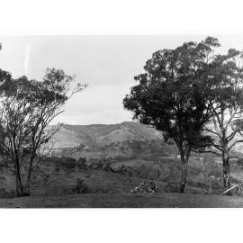Cleared land at Minda Home's Craigburn Farm, 1927