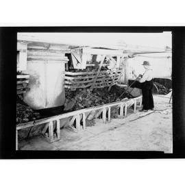 Port Pirie - man working with wood