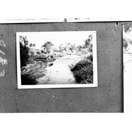 Rural view of lake surrounded by trees - no information recorded