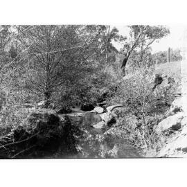 Rural view of Blackwood