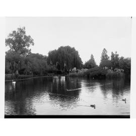 The Botanic Gardens, Adelaide