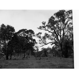 Engineering and Water Supply - Rural View