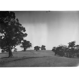 Mount Osmond golf links