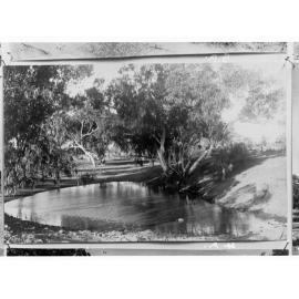 Northern Territory - scene of a river and trees