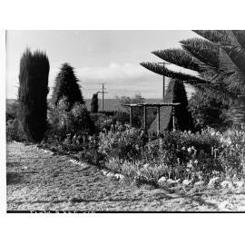Garden at McLaren Vale