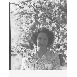 Almond Blossom Trees - Woman Holding Almond Blossom Branch