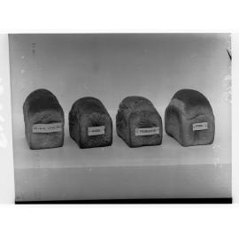 Four loaves of bread made from different types of wheat