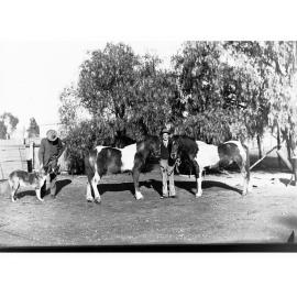 Man With Two Ponies at Bundaleer
