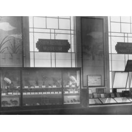 South Australian Museum showing different bird species