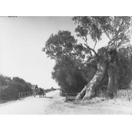 Horse and Cart on track crossing bridge