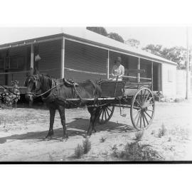 Woman in horse drawn cart also showing house