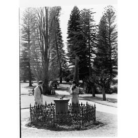 Botanic Gardens Showing Two Ladies Sitting by a Sun Dial