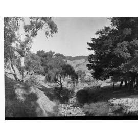 Brownhill Creek Reserve, Mitcham