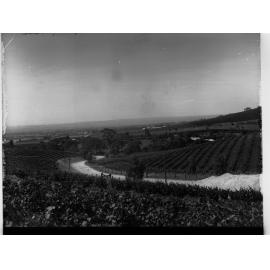 Penfolds Winery Stonyfell