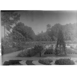 Botanic Gardens - flower beds