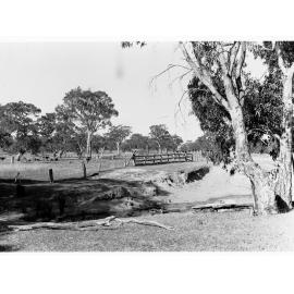 Typical dairying country - on the road to Yankallila