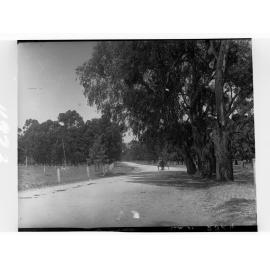 Greenhill Road showing horse and cart